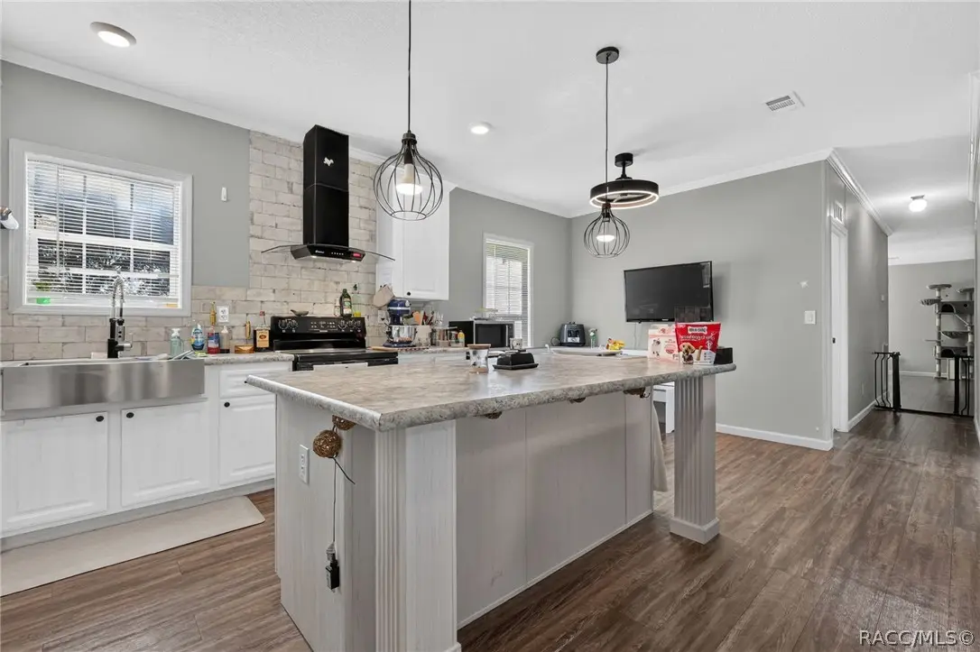 223 Skyline Drive, Lady Lake, FL 32159 - #1