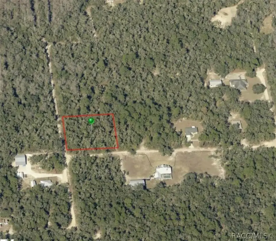 10719 E Tree Lane, Inverness, FL 34450 - #1