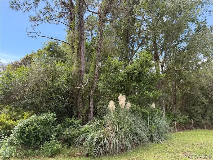 5710 S Leopard Point, Homosassa, FL 34446 - #2