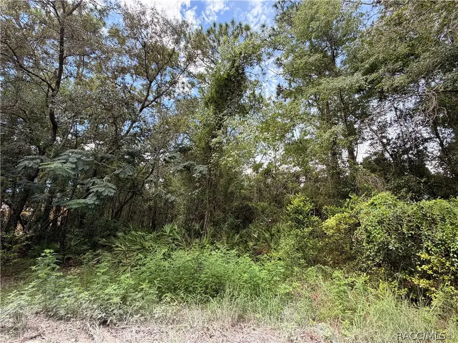 5710 S Leopard Point, Homosassa, FL 34446 - #3