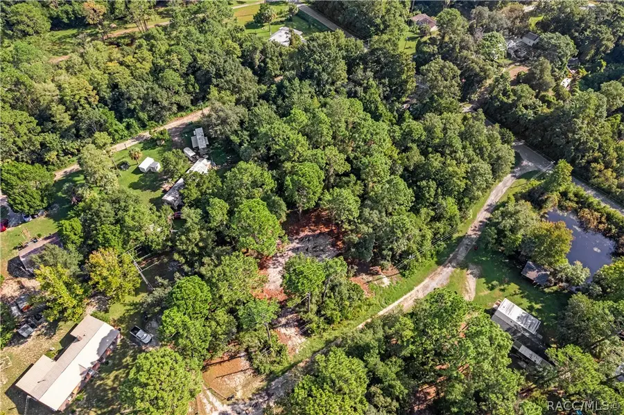 8181 W Tracy Court, Homosassa, FL 34448 - #2