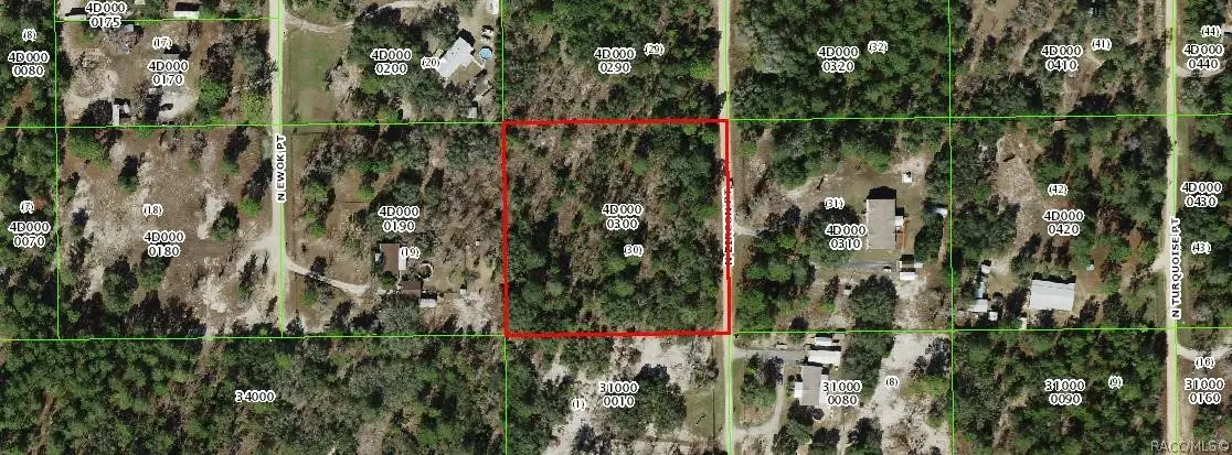 6530 N Zircon Point, Dunnellon, FL 34433 - #1