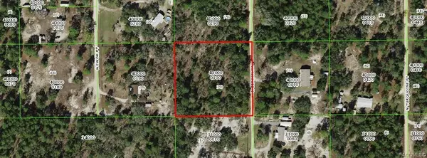 6530 N Zircon Point, Dunnellon, FL 34433