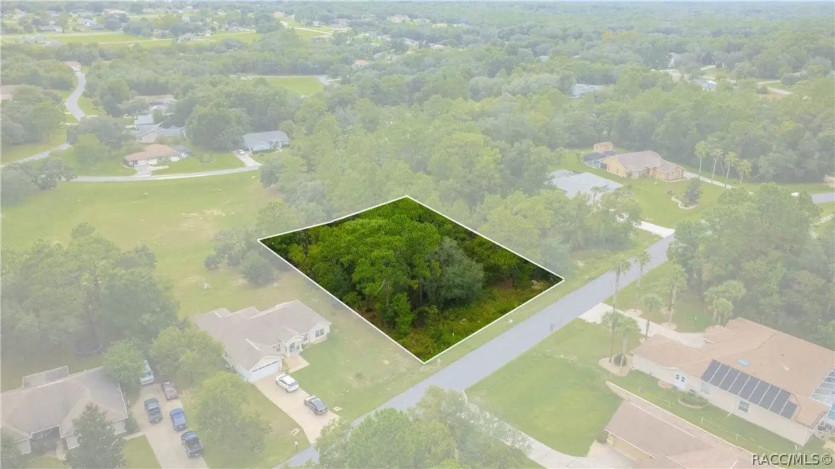 1256 N Chance Way, Inverness, FL 34453 - #1