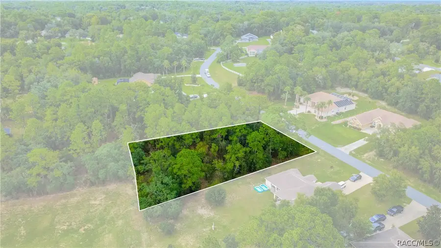 1256 N Chance Way, Inverness, FL 34453 - #2