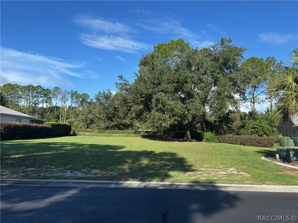 3516 E Cove Park Trail, Hernando, FL 34442 - #1