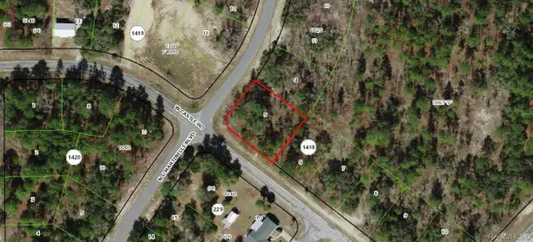 10429 N G Martinelli Boulevard, Citrus Springs, FL 34433