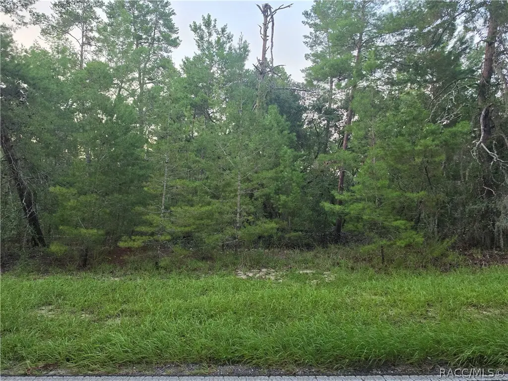 17 Oak Village Boulevard, Homosassa, FL 34446 - #1