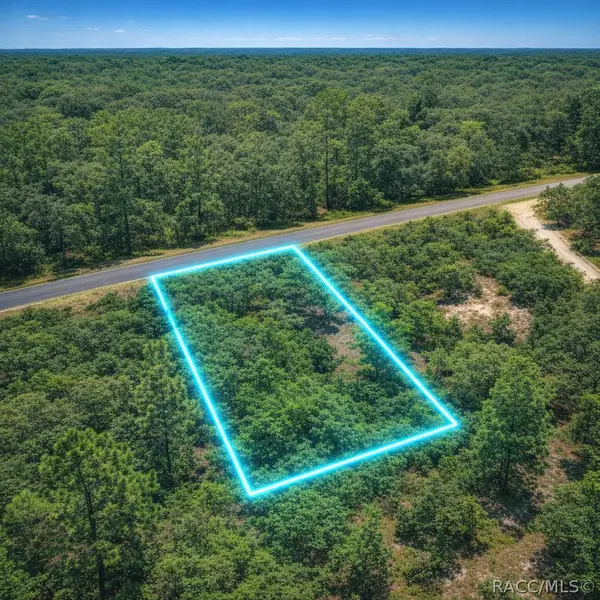 0 SE 133rd Ave Rainbow Lakes Est Avenue, Dunnellon, FL 34431