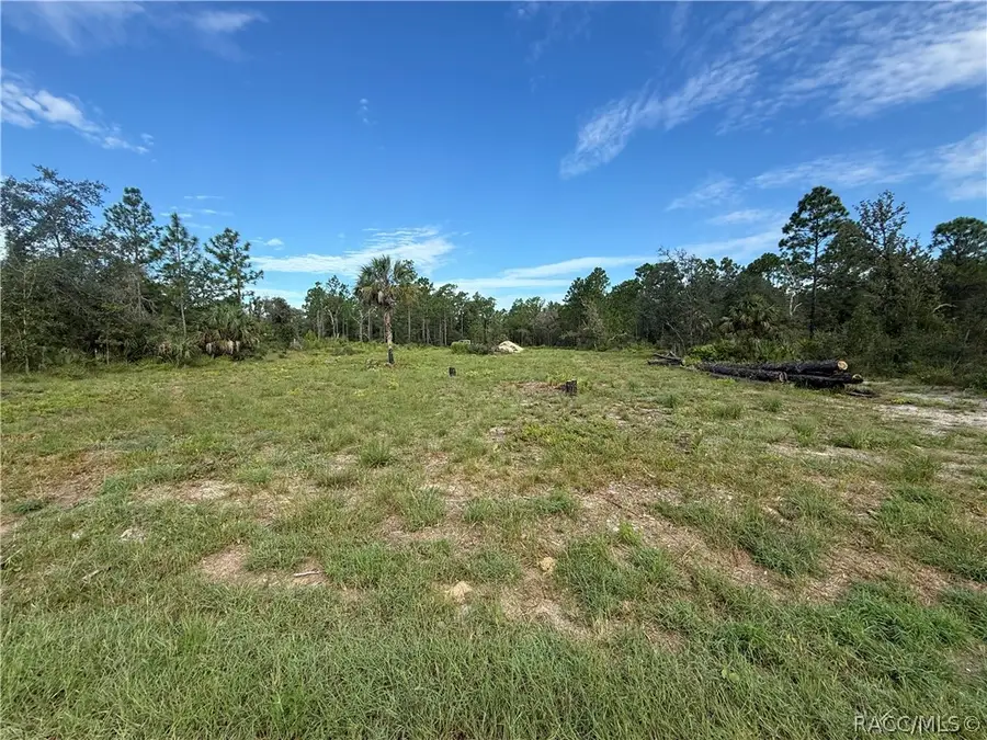 10665 W Dunderry Place, Crystal River, FL 34428 - #2