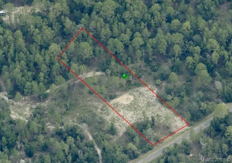 10665 W Dunderry Place, Crystal River, FL 34428 - #3
