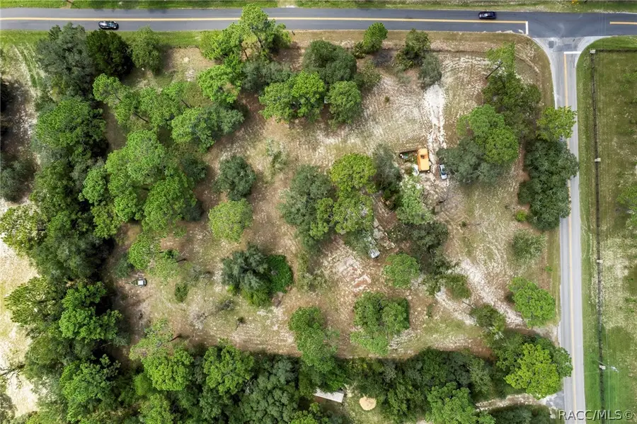 5095 S Bluebird Terrace, Lecanto, FL 34461 - #3