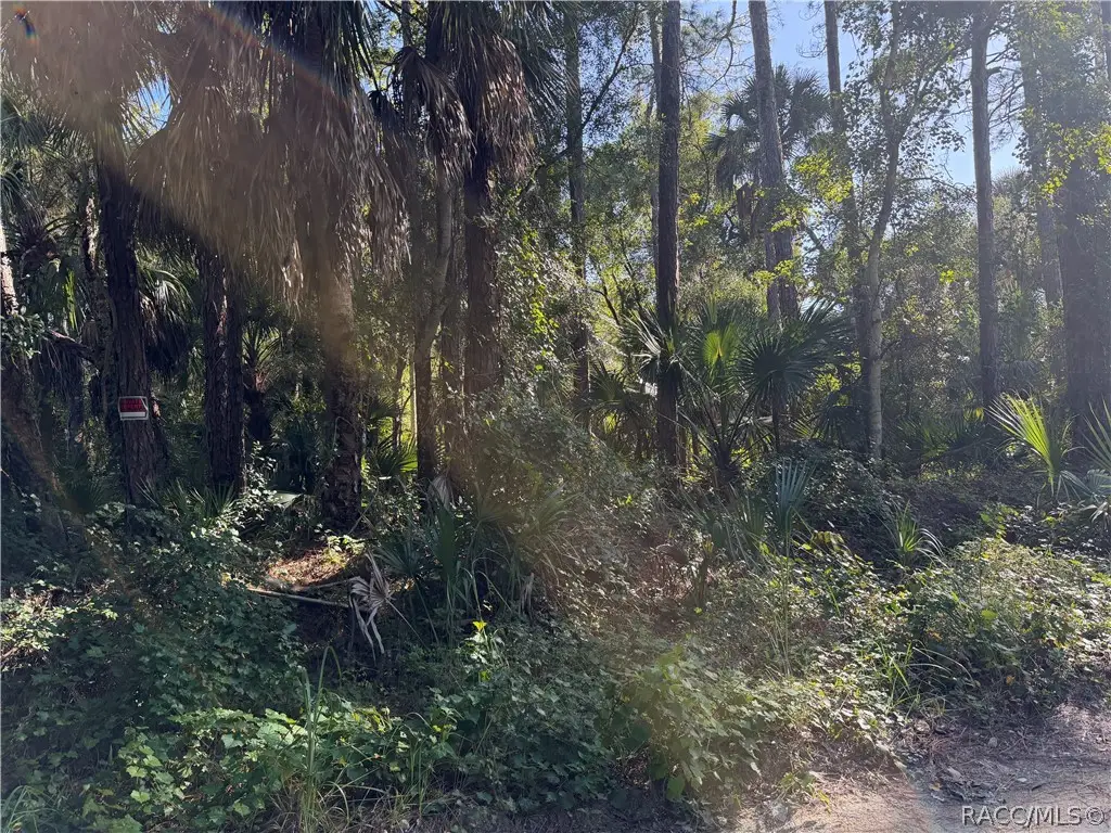 0 Corner Of Debra And Shearer, Inglis, FL 34449 - #1