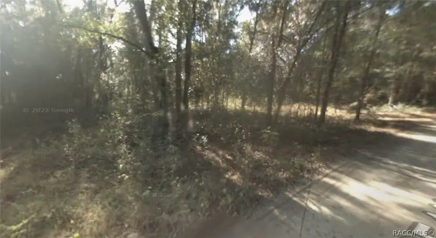 4217-238-070 SE 148th Place, Summerfield, FL 34491 - #3