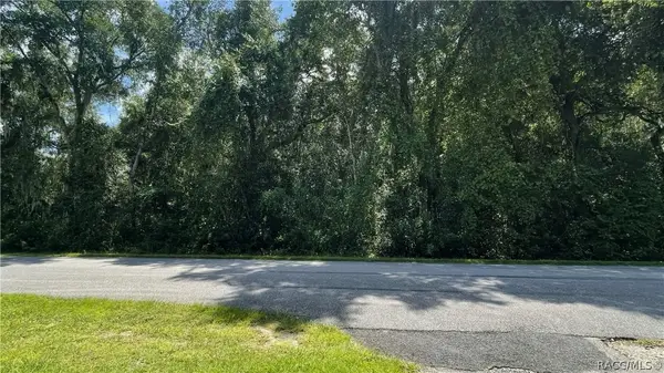 11682 E Hawk Lane, Floral City, FL 34436