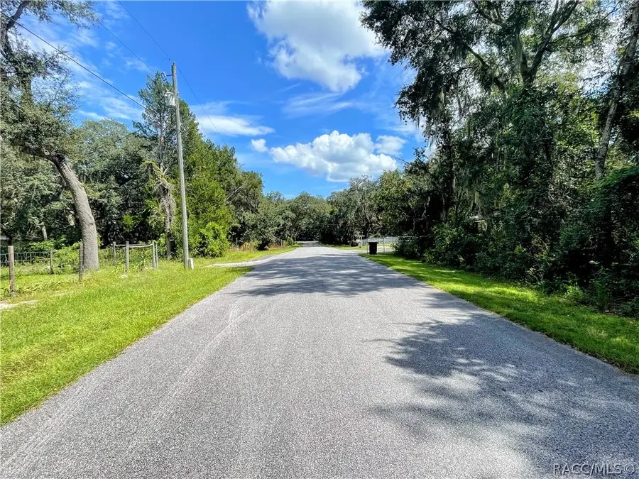11682 E Hawk Lane, Floral City, FL 34436 - #2