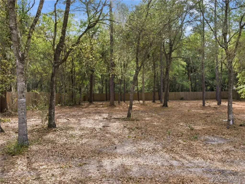9928 W Pinespring Court, Crystal River, FL 34428 - #1
