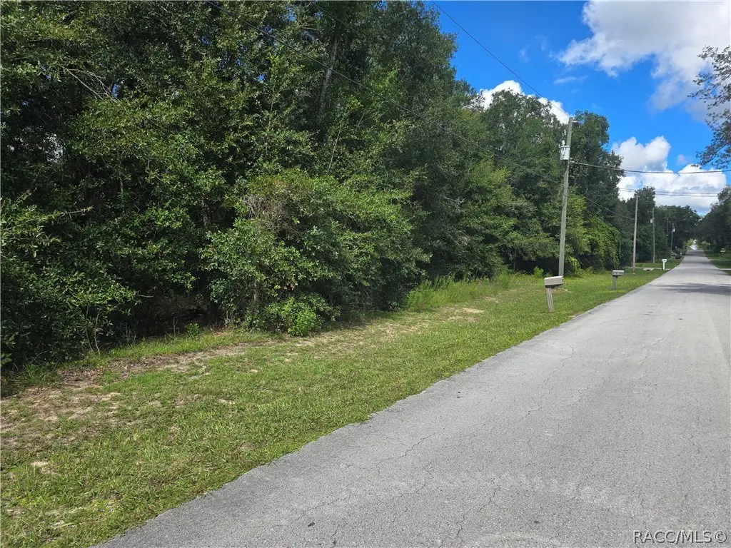 366 S Savary Avenue, Inverness, FL 34453 - #1