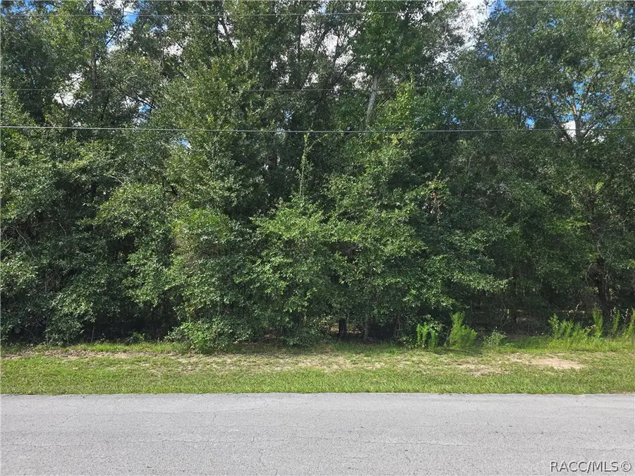 366 S Savary Avenue, Inverness, FL 34453 - #2