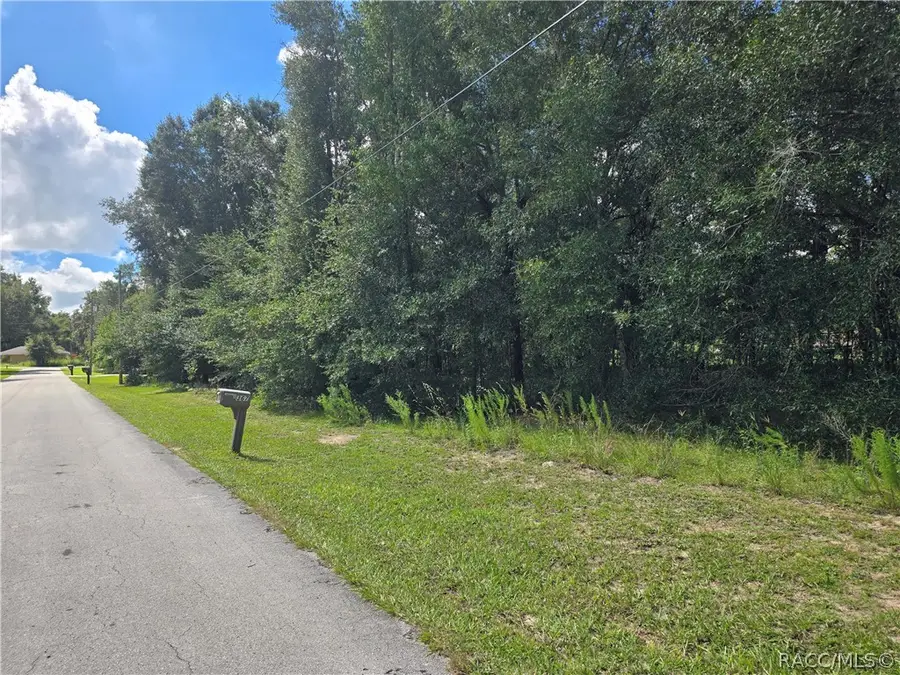366 S Savary Avenue, Inverness, FL 34453 - #3