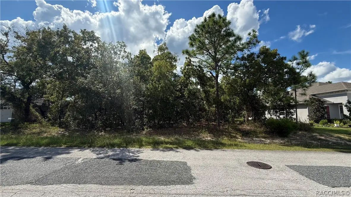 41 Lupine Street, Homosassa, FL 34446 - #1