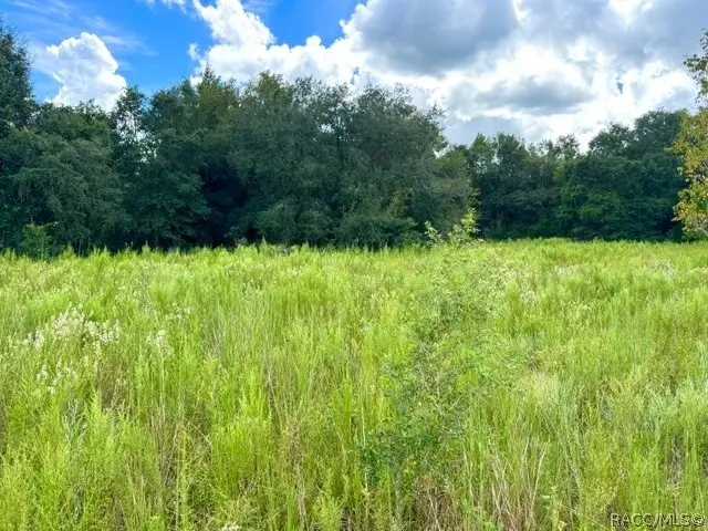 2311 Jackson Street, Inverness, FL 34453 - #1