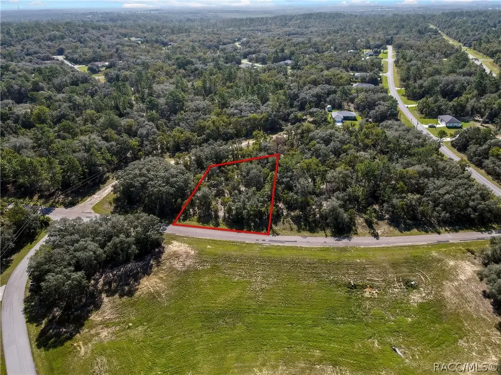 6395 N Compass Way, Citrus Springs, FL 34434 - #1