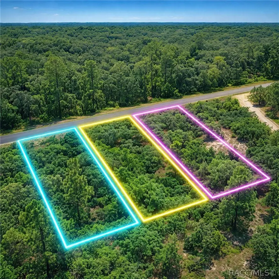 0 SE 134th Ct Rainbow Lakes Estate, Dunnellon, FL 34431 - #1