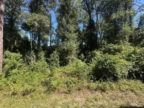 3553 S Dover Terrace, Inverness, FL 34452