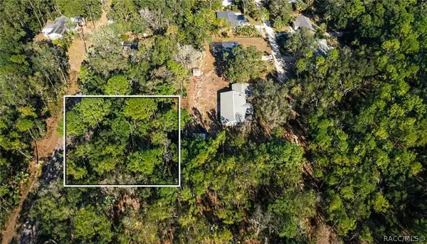 8395 N Ira Martin Avenue, Crystal River, FL 34428