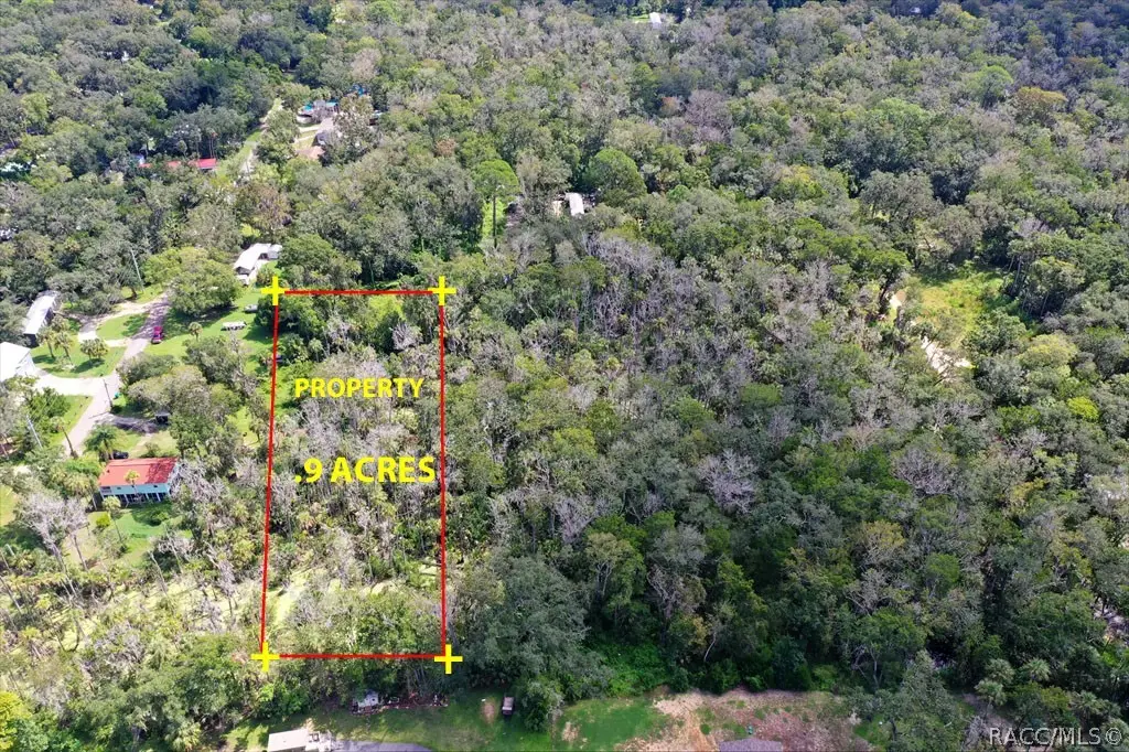 10487 W Palmetto Street, Homosassa, FL 34448 - #1