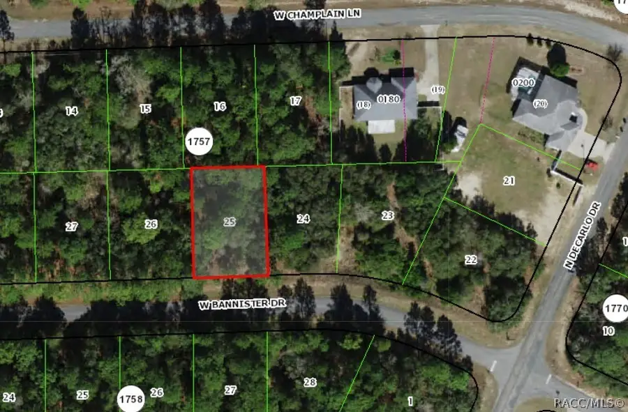 819 W Bannister Drive, Citrus Springs, FL 34434 - #3