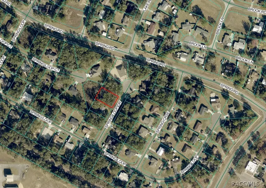0 Spring Loop Drive, Ocala, FL 34472 - #2