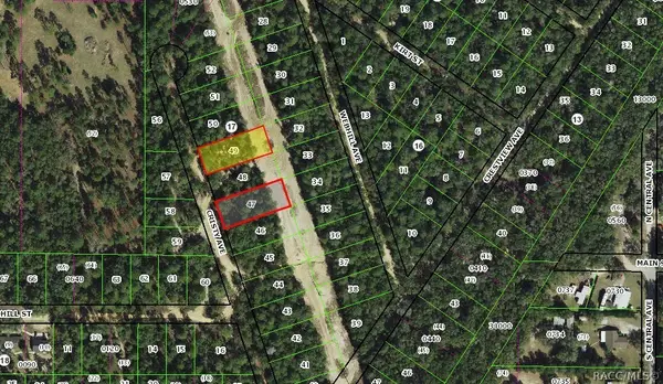 106 N Cristy Avenue, Inverness, FL 34452