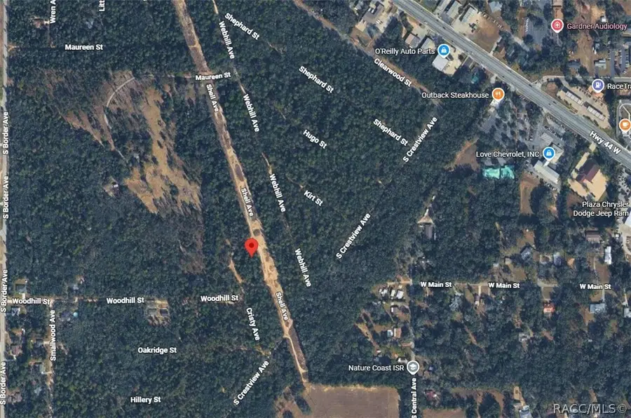 106 N Cristy Avenue, Inverness, FL 34452 - #2