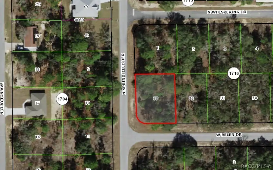 1671 W Belen Drive, Citrus Springs, FL 34434 - #3