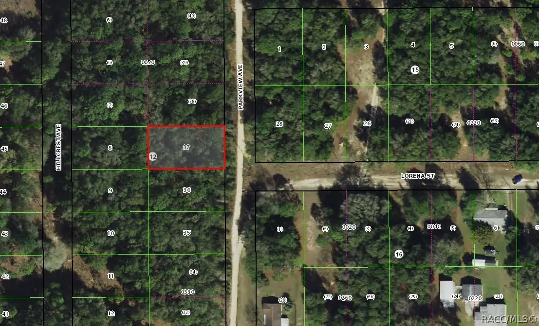 1001 Parkview Avenue, Inverness, FL 34453 - #1