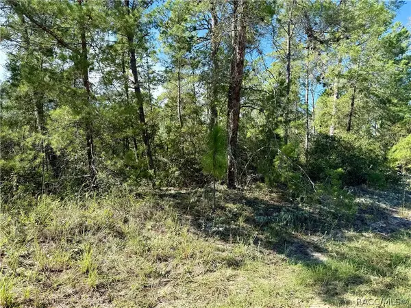 4419 W Malaluka Circle, Citrus Springs, FL 34433
