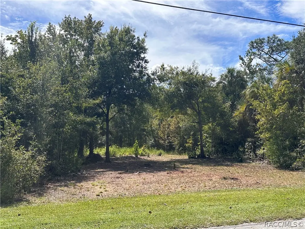 7948 W Grove Street, Homosassa, FL 34446 - #1
