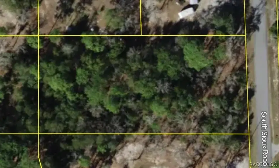 1684 S Sioux Road, Homosassa, FL 34448 - #1