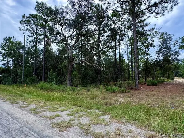 2854 W Andromedae Drive, Citrus Springs, FL 34433