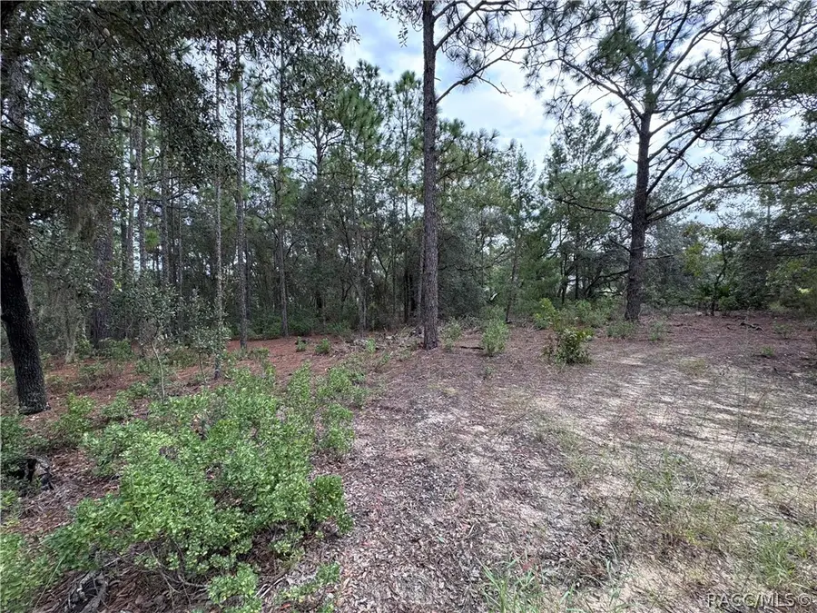 2854 W Andromedae Drive, Citrus Springs, FL 34433 - #3