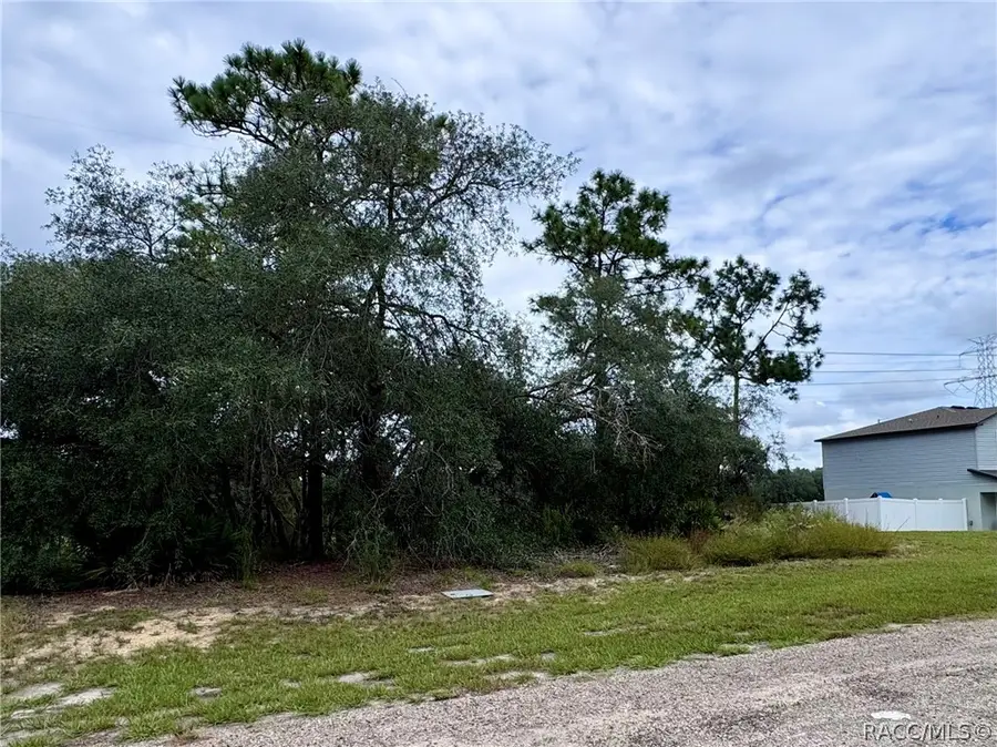 1853 W Skyline Drive, Citrus Springs, FL 34434 - #3