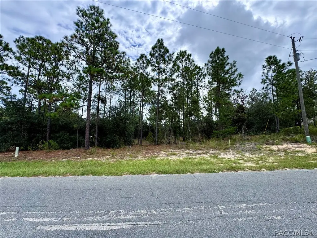 10250 N Spaulding Drive, Citrus Springs, FL 34433 - #1