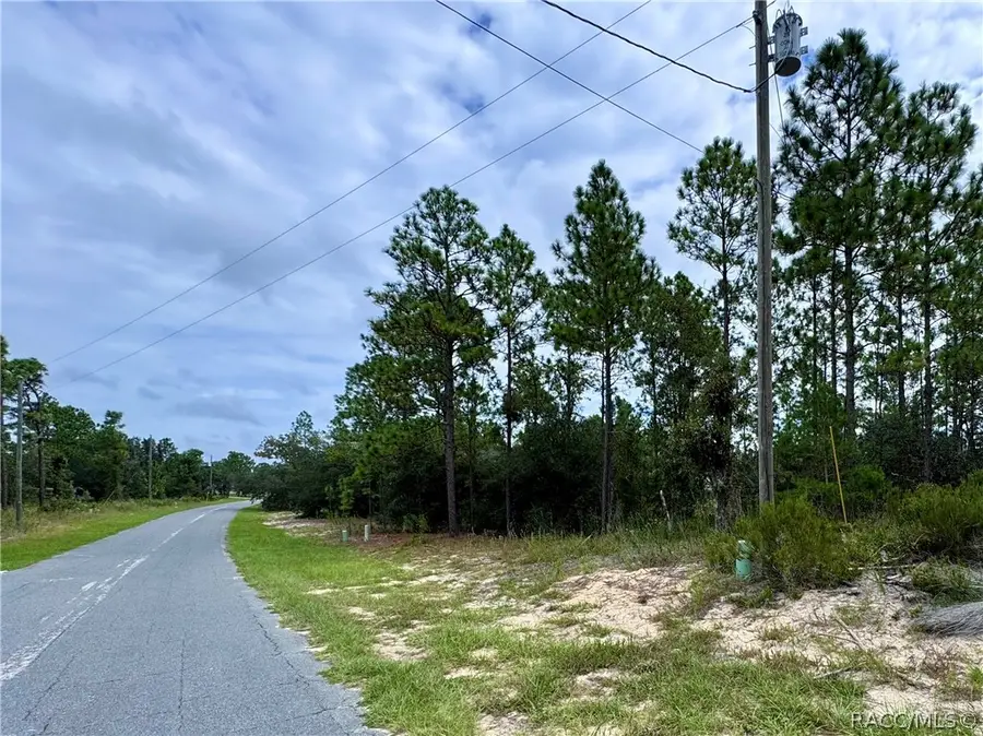 10250 N Spaulding Drive, Citrus Springs, FL 34433 - #3