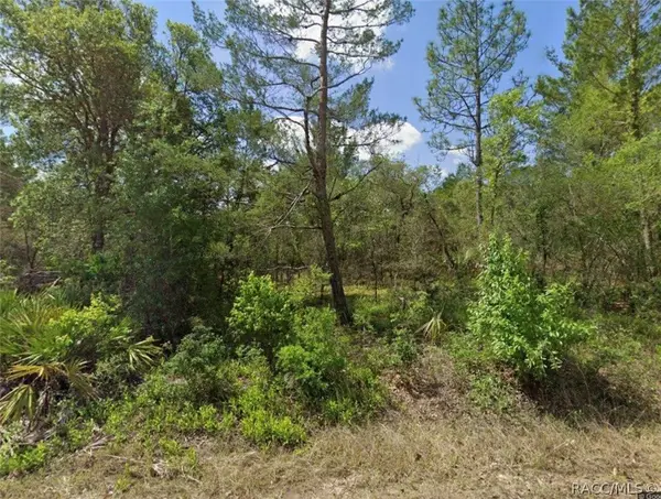 6270 W Kampala Lane, Dunnellon, FL 34433