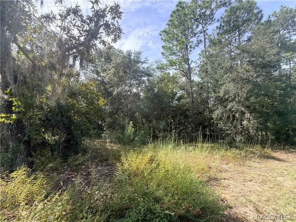 5066 E Anna Jo Drive, Inverness, FL 34452 - #1