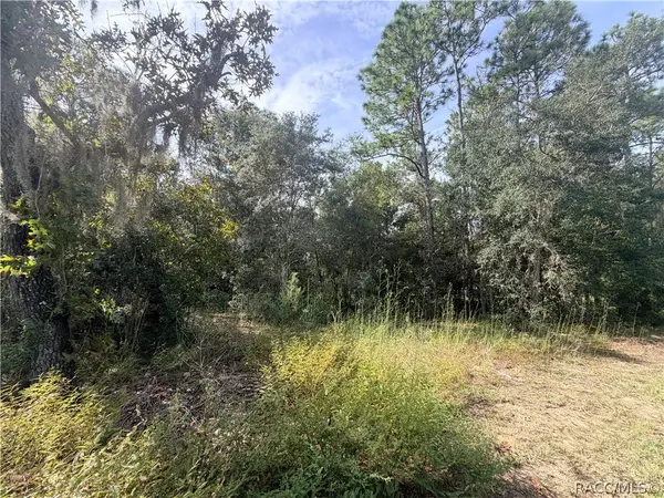 5066 E Anna Jo Drive, Inverness, FL 34452