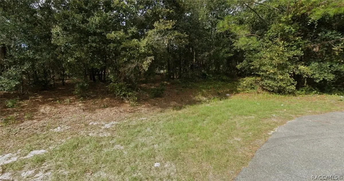 5506 Capulin Street, Keystone Heights, FL 32656 - #1