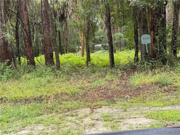 143 N Schoolcraft Drive, Inglis, FL 34449